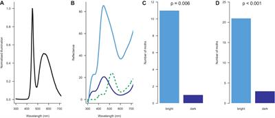 Achromatic Cues Are Important for Flower Visibility to Hawkmoths and Other Insects